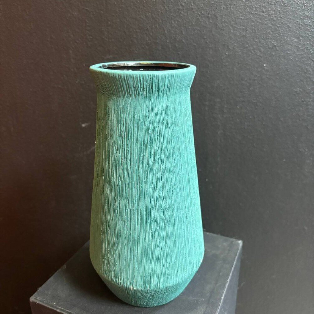 V009