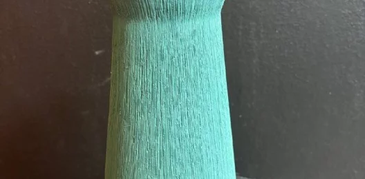 V009
