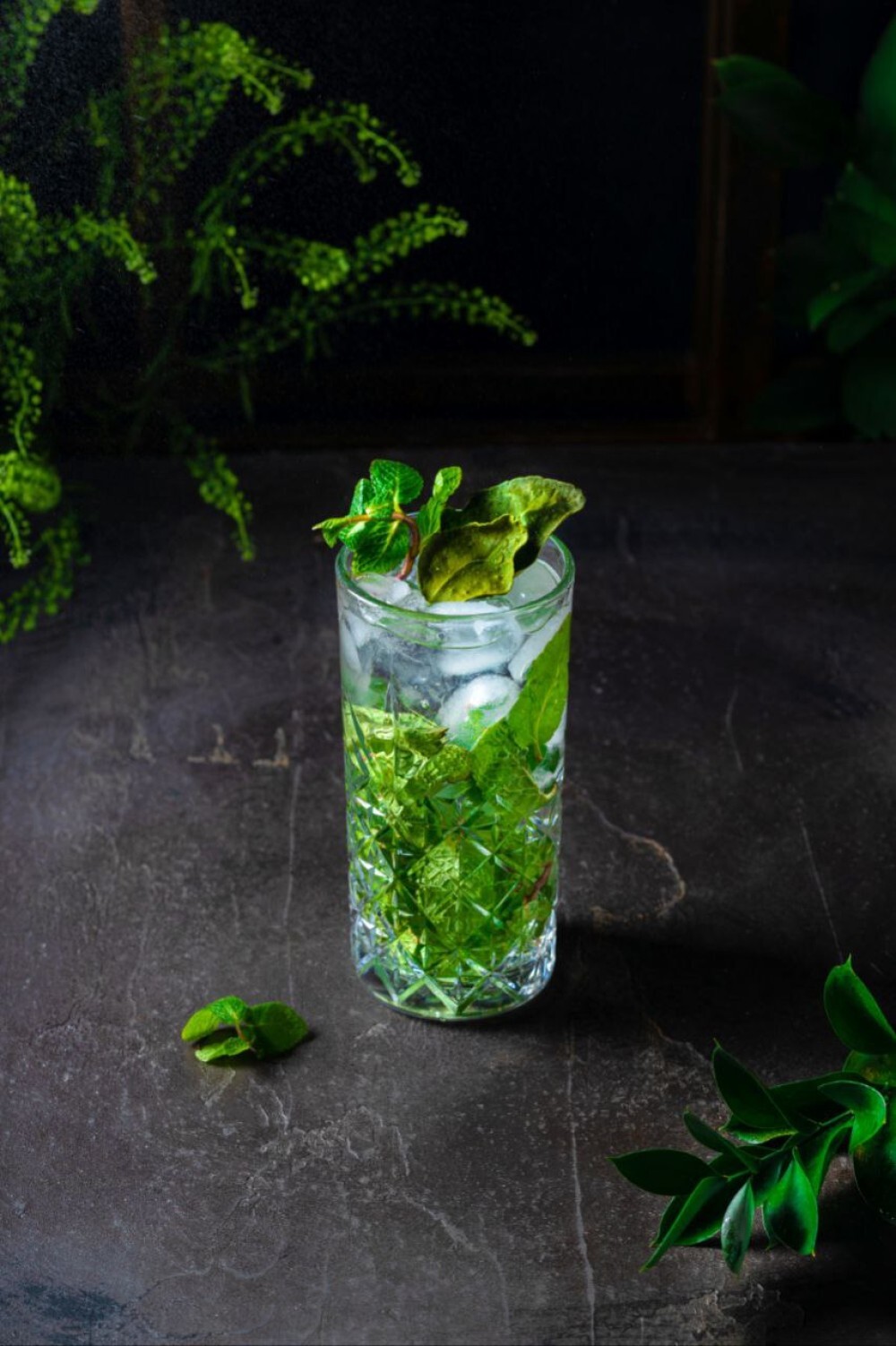 Mojito