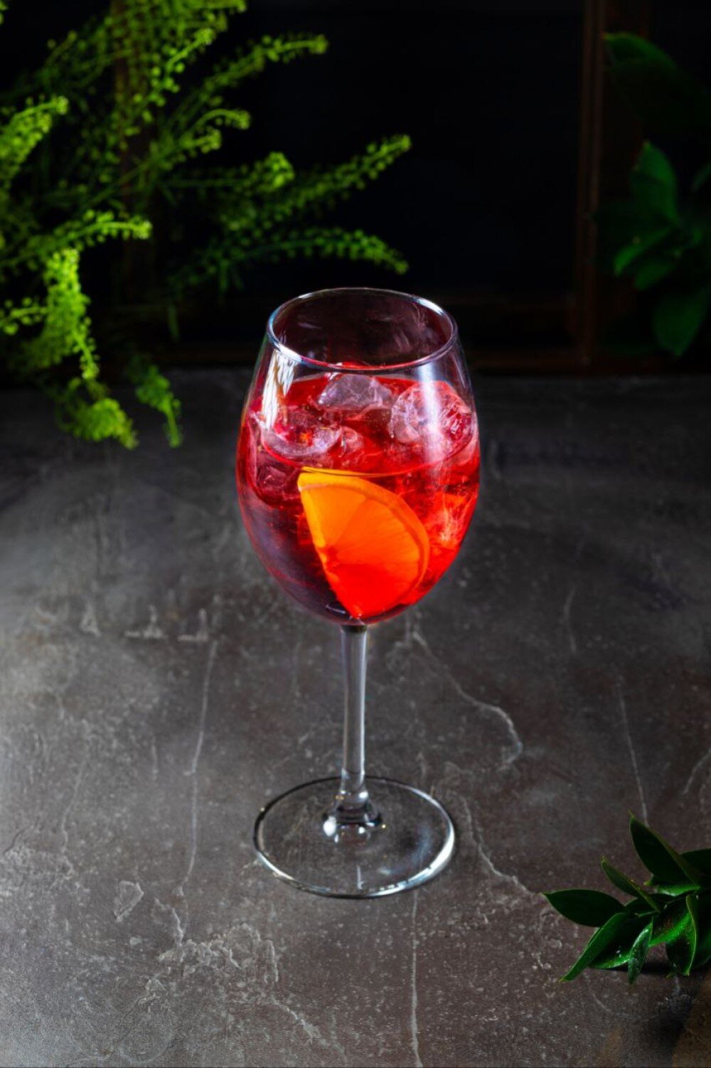Martini Fiero Tonic