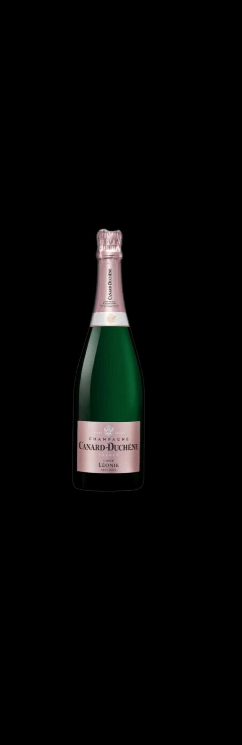 Сanard Duchene Champagne Rose