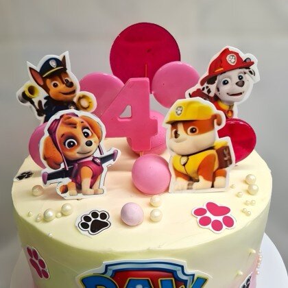 Торт для девочек с печатью и цифрой